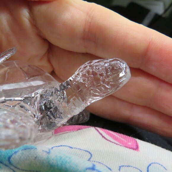 sea shells, acrylic sea turtle, TY Scoop pelican collection - Picture 3 of 13